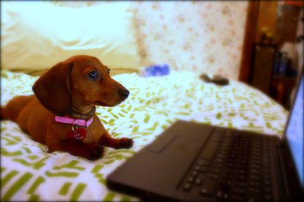 News small post card thumbnail