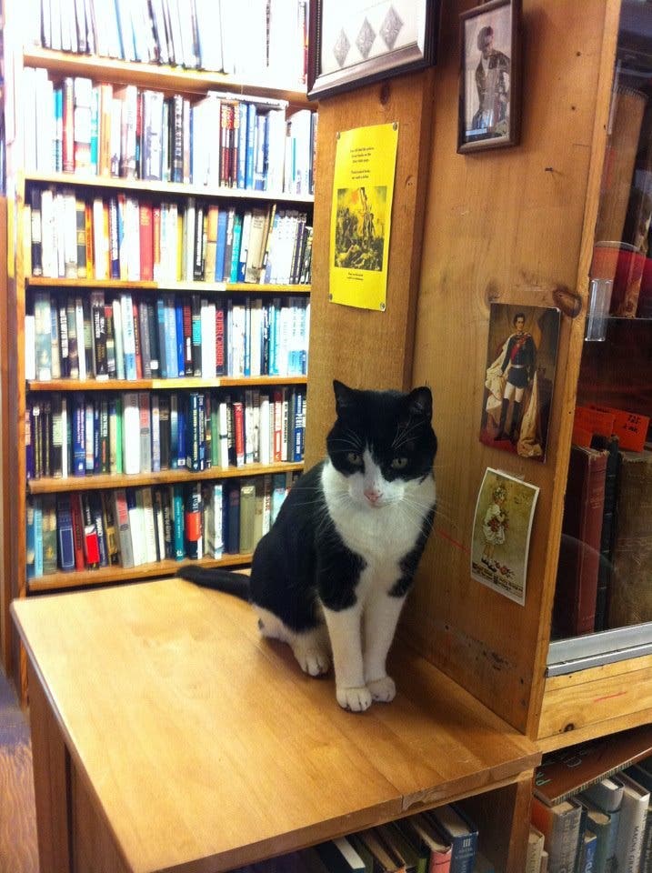 News small post card thumbnail