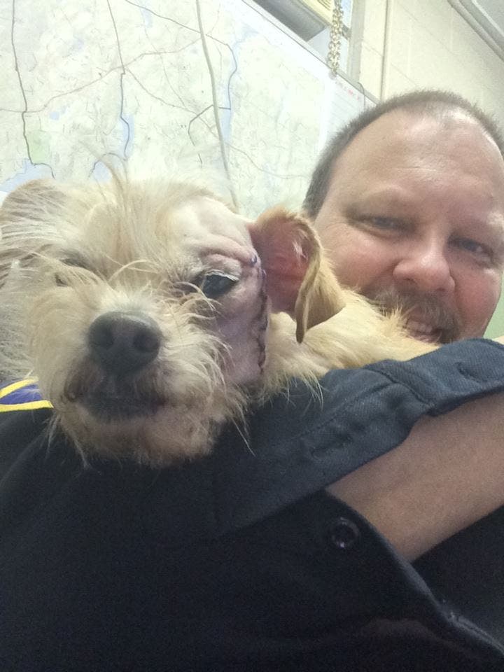 News small post card thumbnail