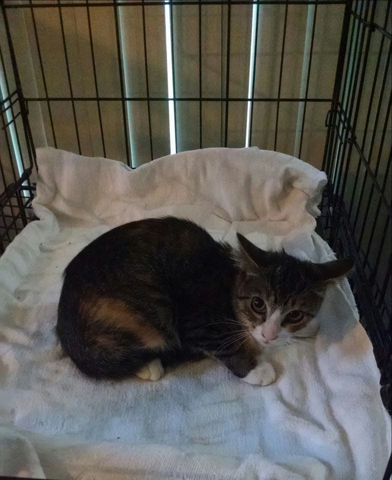 News small post card thumbnail