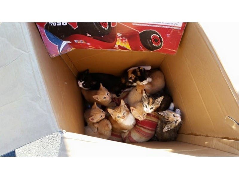 News small post card thumbnail