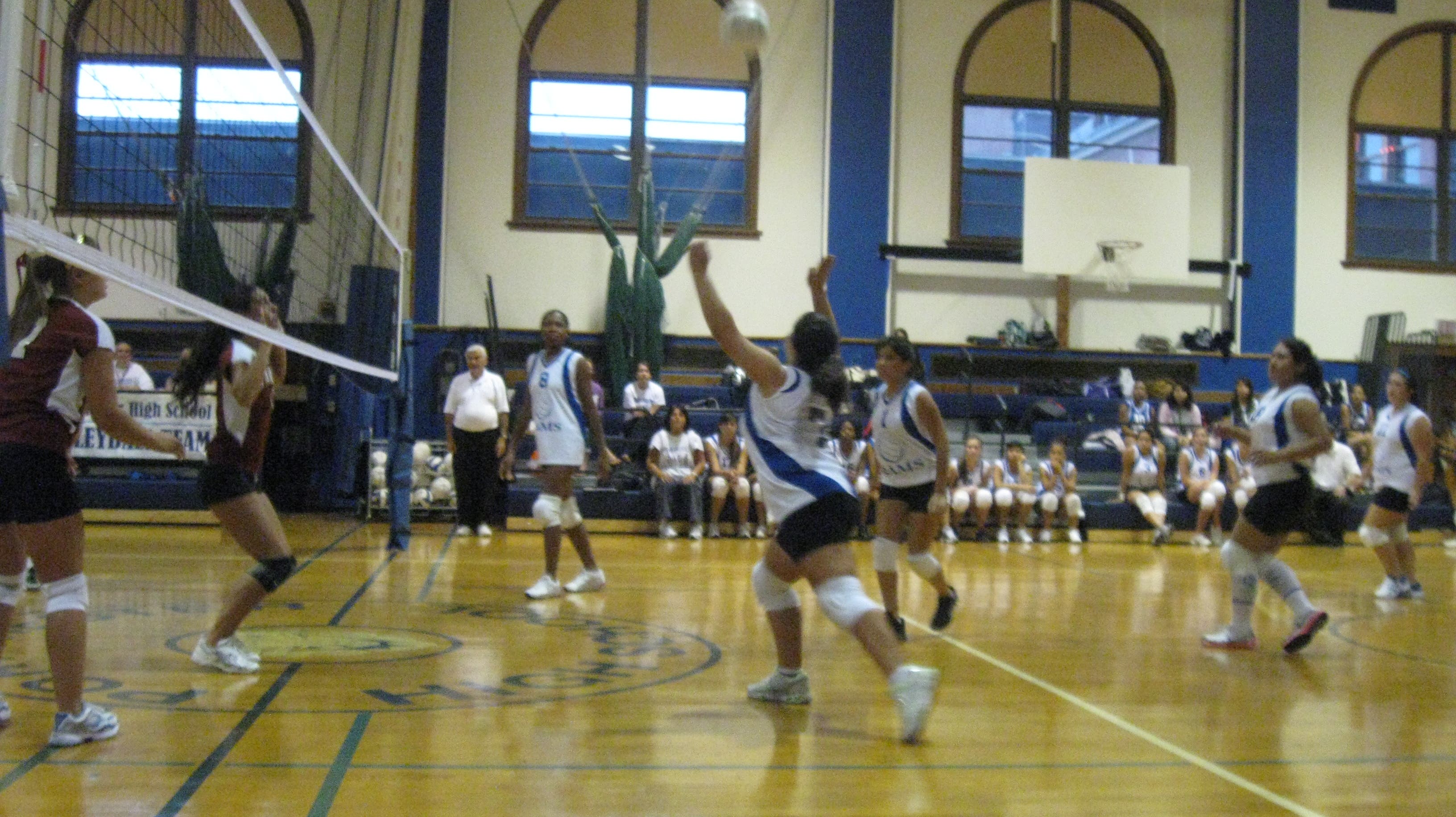 Port Chester Rams Huskies Beat Rams in Home Volleyball Contest | Port Chester, NY Patch