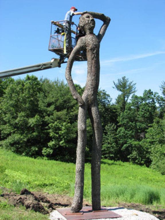 The Tree People | White Plains, NY Patch