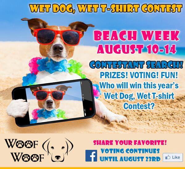 Dog Summer Camp At Woof Woof Doggie Daycare Boarding Windham NH Patch