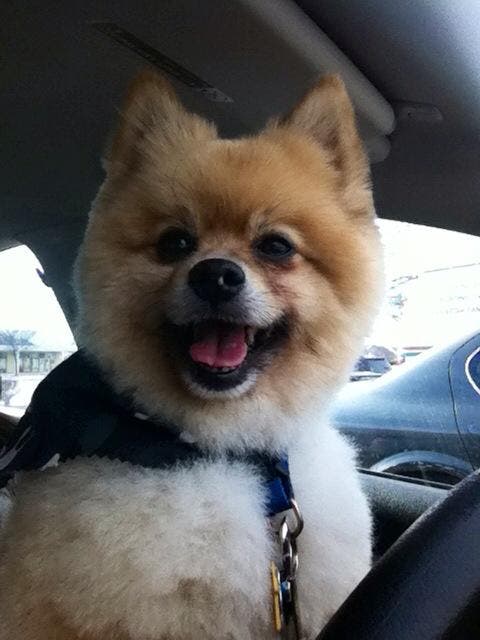 News small post card thumbnail