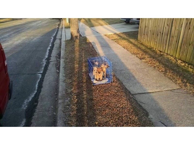 News small post card thumbnail