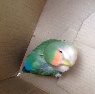 News small post card thumbnail