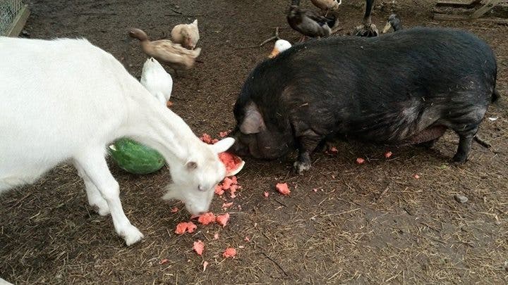 News small post card thumbnail