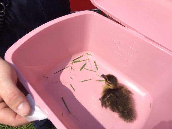 News small post card thumbnail