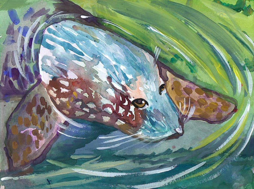 News small post card thumbnail