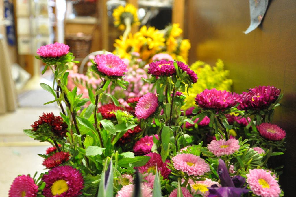 Apple Blossom Voted Best Florist in SPF Scotch Plains, NJ Patch