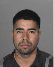 Police Arrest Suspect in Violent South Bay Home Invasion Robbery ...