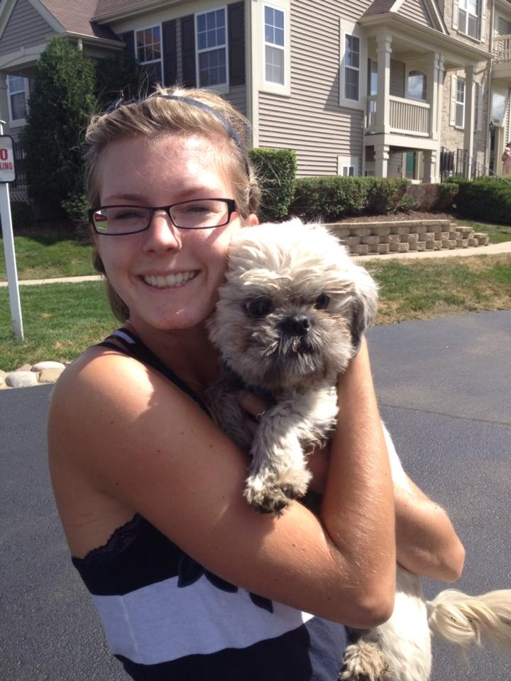 shih tzu rescue homer glen il