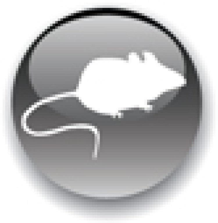 https://patch.com/img/cdn/users/73774/2012/09/raw/740c7905c85a3412e2603e2bf9b73a80.jpg