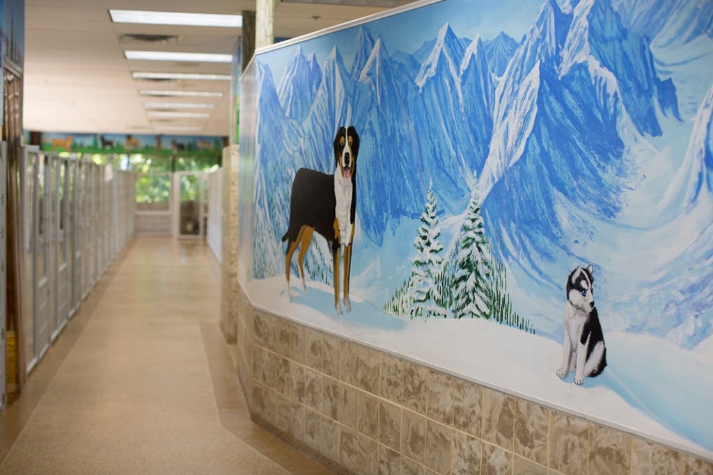 Old Dominion Animal Health Center Announces New Sunday Boarding Hours