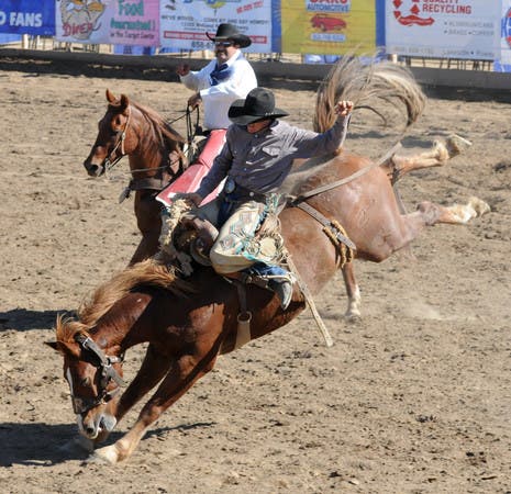 Poway Rodeo Anticipates 10,000 Attendees This Year | Poway, CA Patch