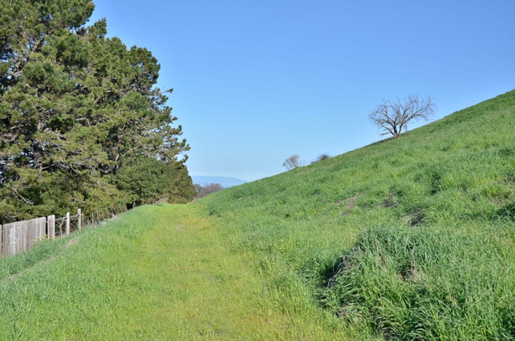 Viewfinder: Pinole Fire trail 243 Part 1 | Pinole, CA Patch