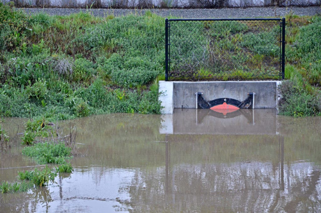 Viewfinder: Rain-Filled Pinole Creek | Pinole, CA Patch