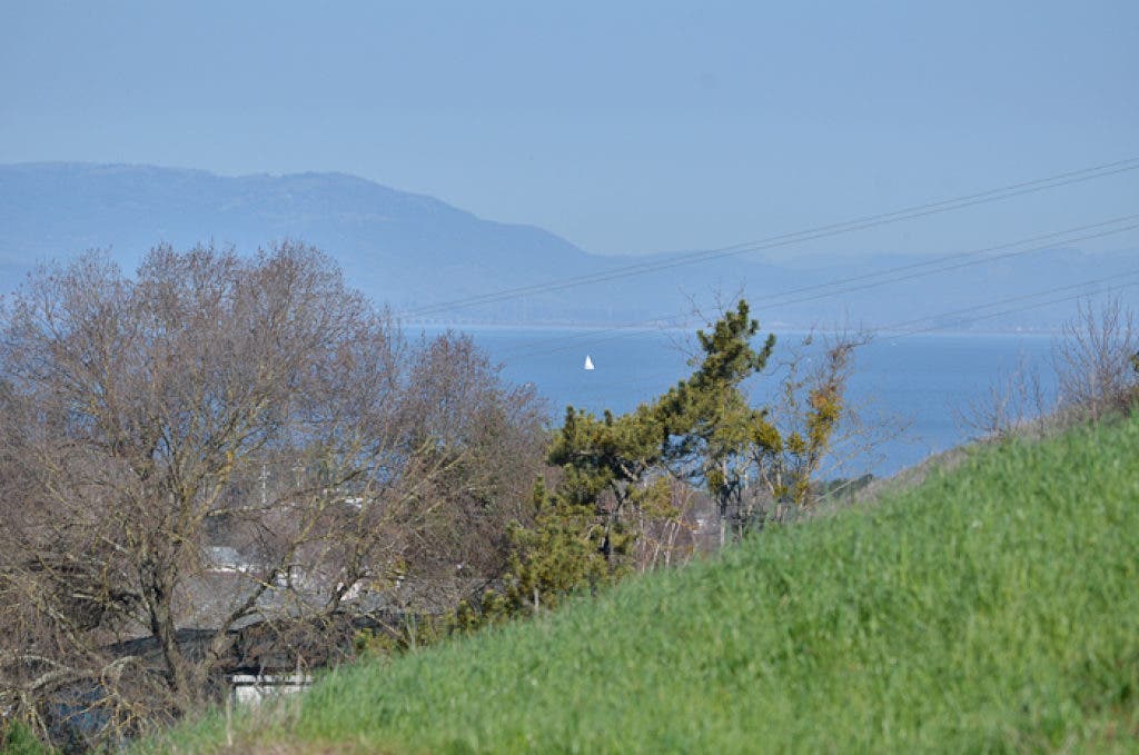 Viewfinder: Pinole Fire trail 243 Part 1 | Pinole, CA Patch