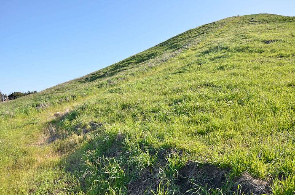 Viewfinder: Pinole Fire trail 243 Part 1 | Pinole, CA Patch