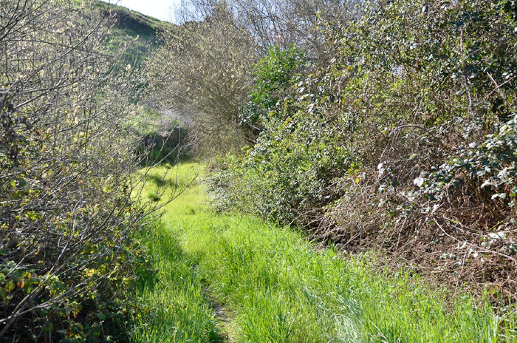 Viewfinder: Pinole Fire trail 243 Part 1 | Pinole, CA Patch