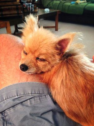 News small post card thumbnail