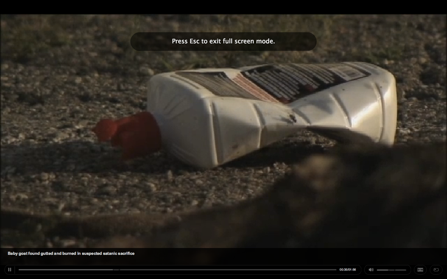 News small post card thumbnail