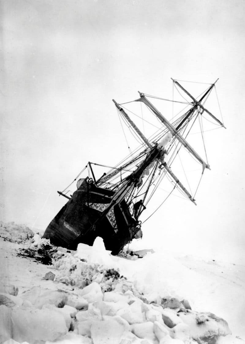 Shackleton 'Endurance' Exhibit Shows Penguin Center Inspiration | Royal ...