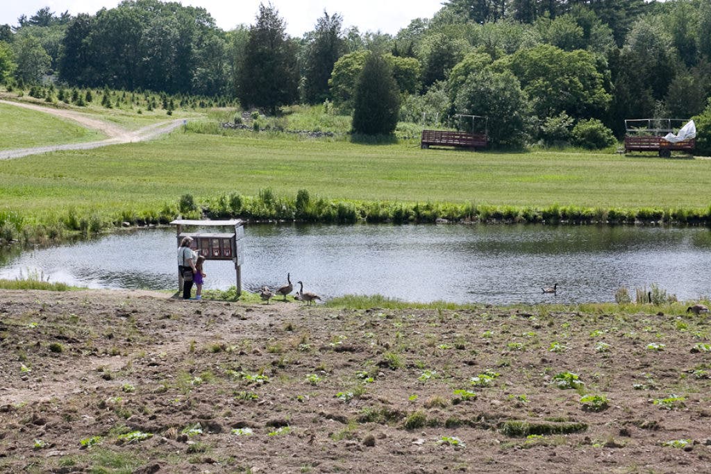 IMAGE GALLERY: Family Farm Festival at Smolak Farms | North Andover, MA ...