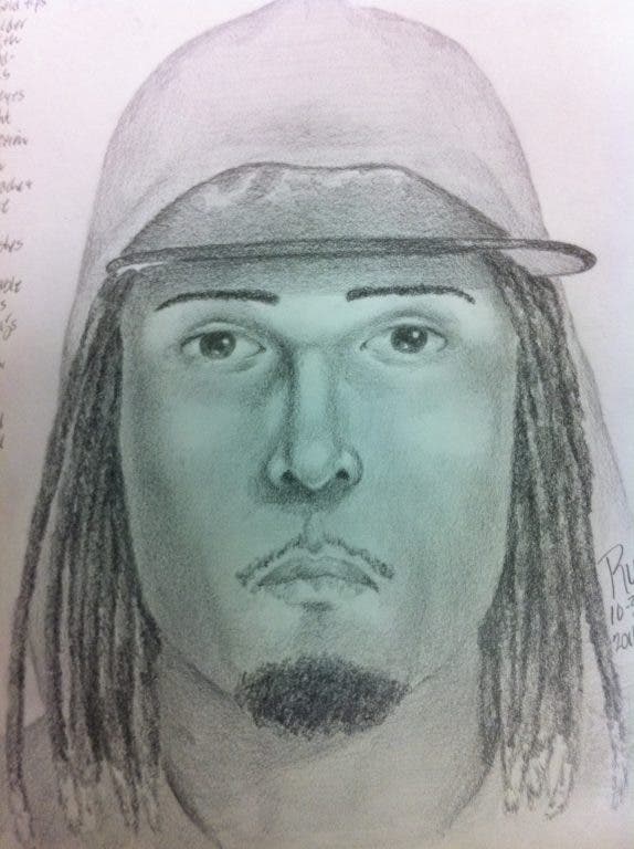 Police Release Sketch of `Person of Interest' In Triple Murder ...