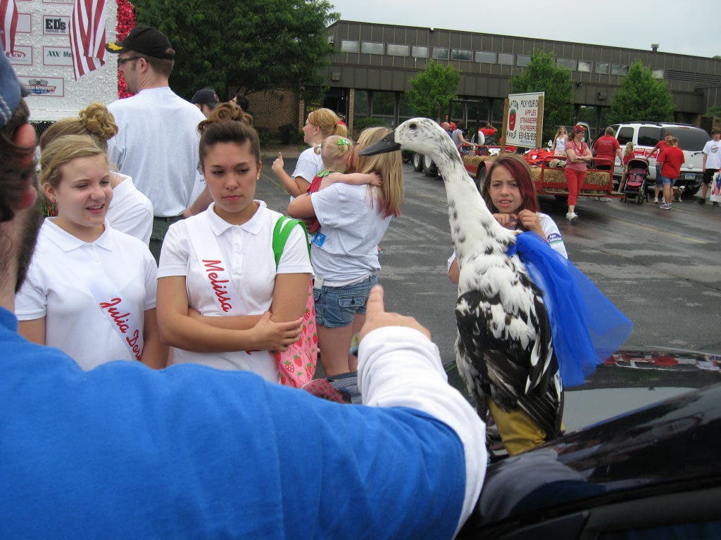 News small post card thumbnail