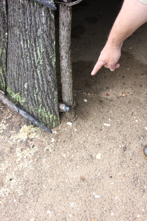 Pigg Point Md Part I: Archaeology Site at Pig Point Continues to Yield Ancient ...