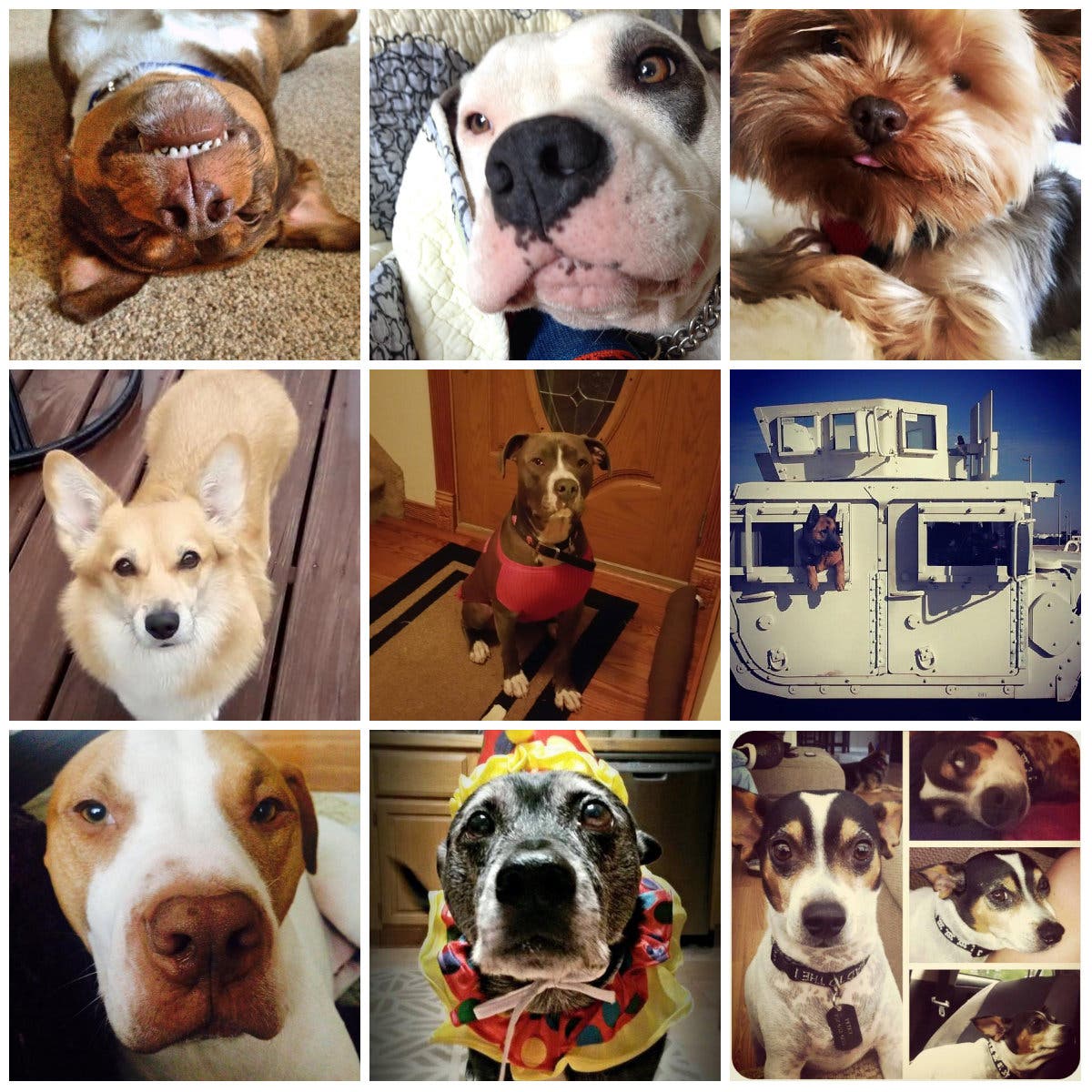 News small post card thumbnail