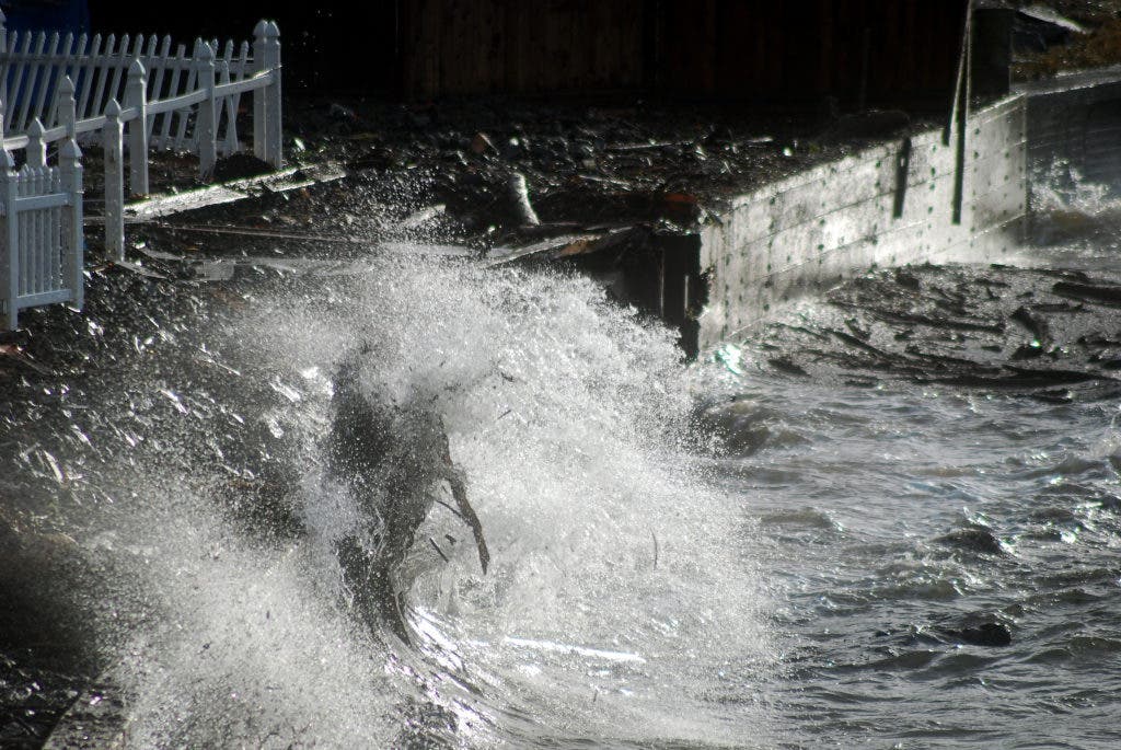 PHOTOS High Tide Reaches Gig Harbor Gig Harbor, WA Patch