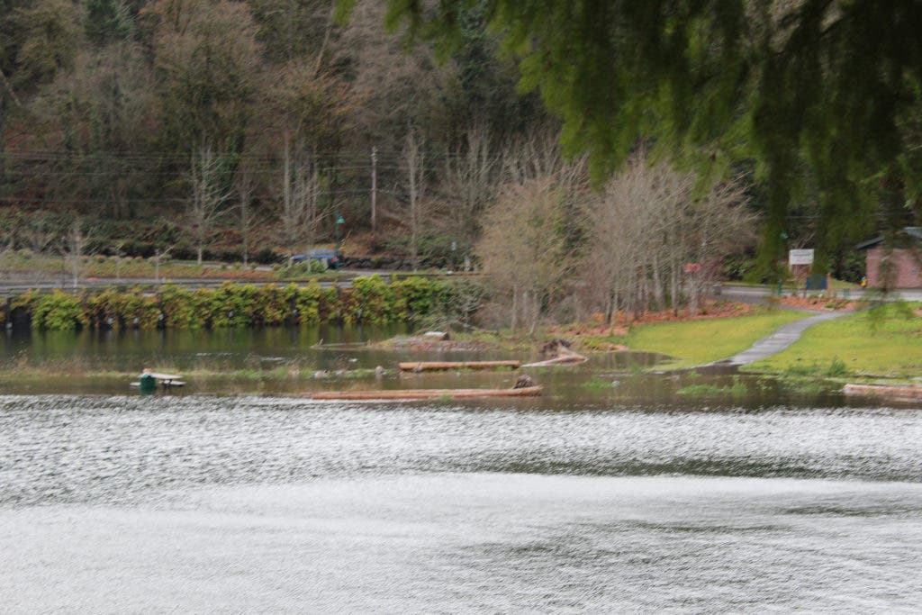 PHOTOS High Tide Reaches Gig Harbor Gig Harbor, WA Patch