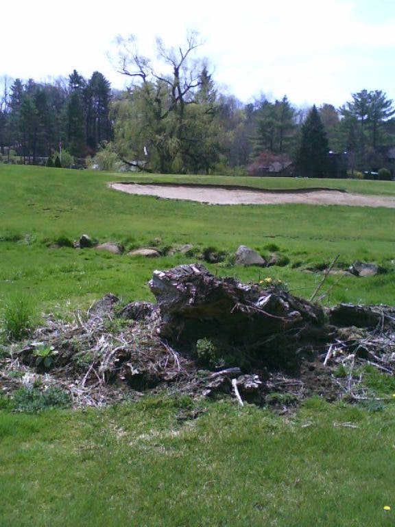 Farmington Woods Resident Expresses Concern About Golf Course And
