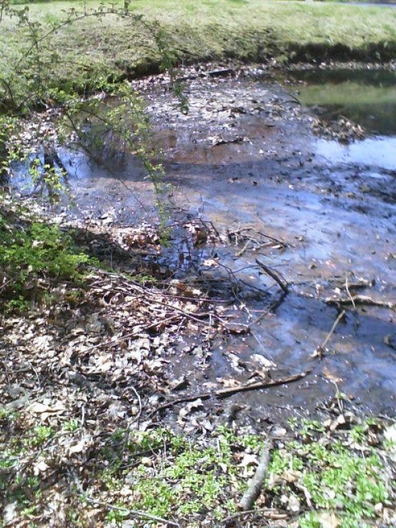 Farmington Woods Resident Expresses Concern About Golf Course And 