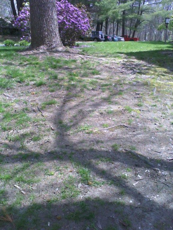 Farmington Woods Resident Expresses Concern About Golf Course And 