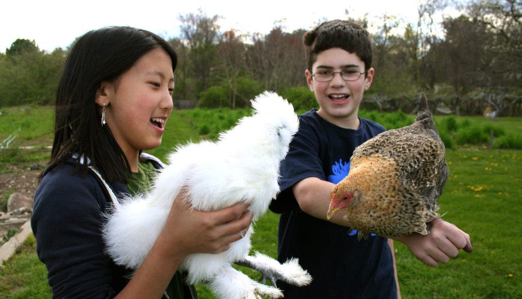 Grow Your Food. Know Your Food. Westport, CT Patch
