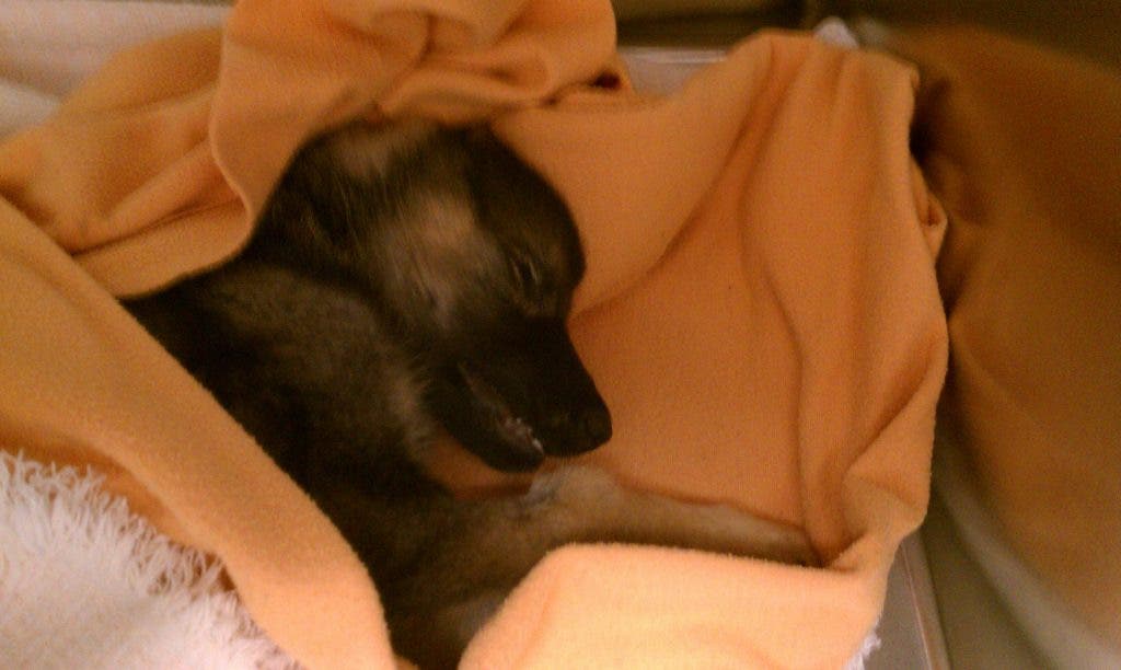 News small post card thumbnail