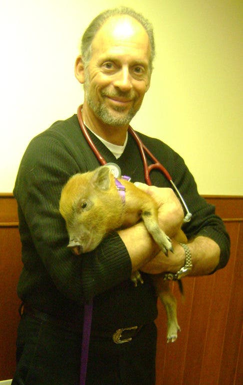 News small post card thumbnail