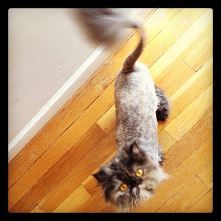 News small post card thumbnail