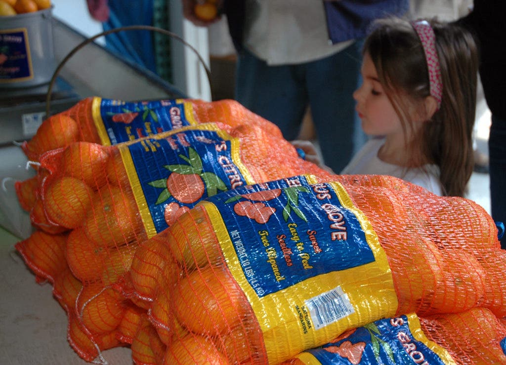 Day Trippin' Mandarin Orange Season Begins in Placer County Elk