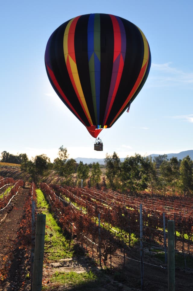 HotAir Balloon Companies Hold Festival This Weekend Temecula, CA Patch