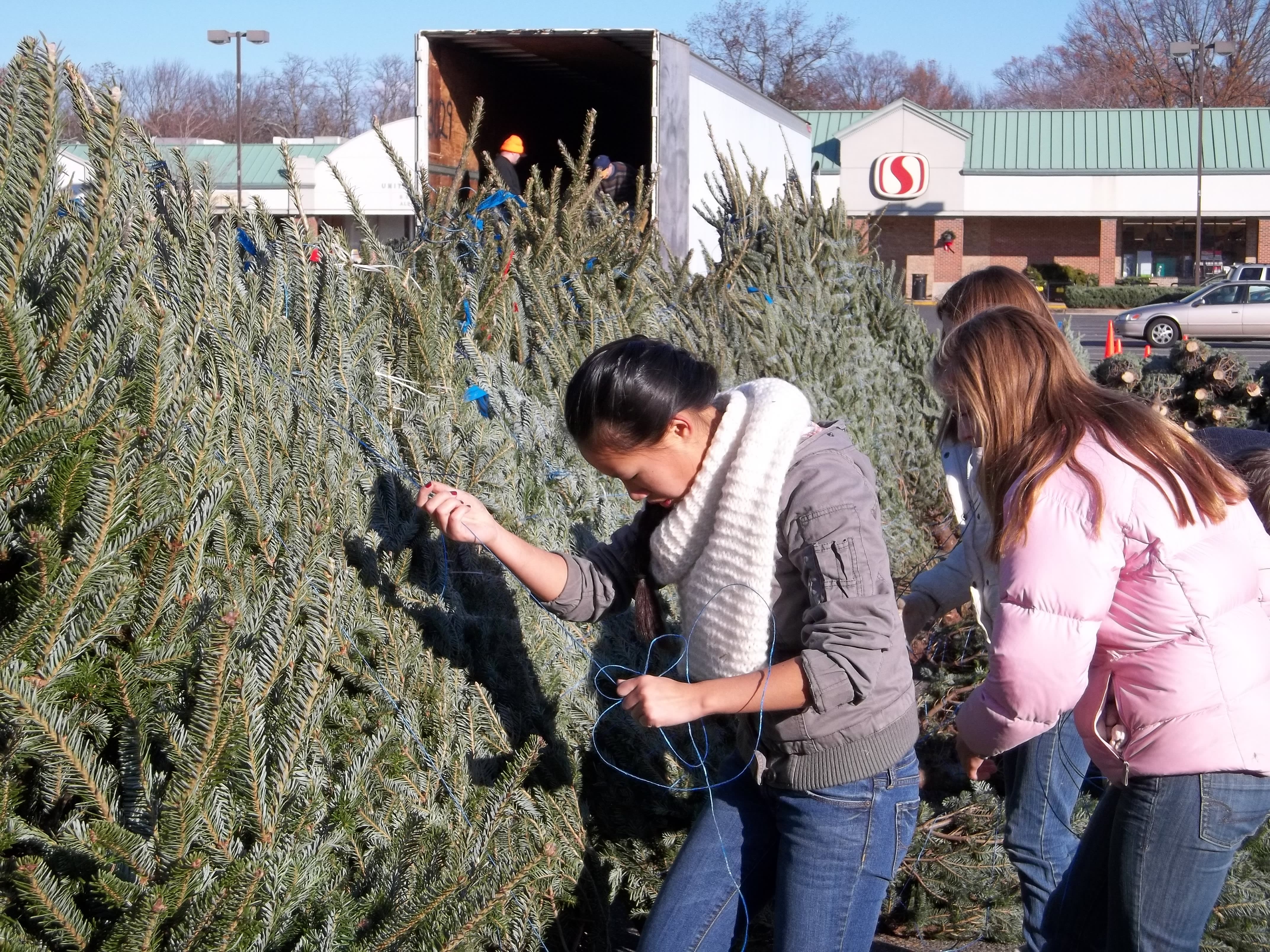 Kiwanis Christmas Trees for Sale! Mount Vernon, VA Patch