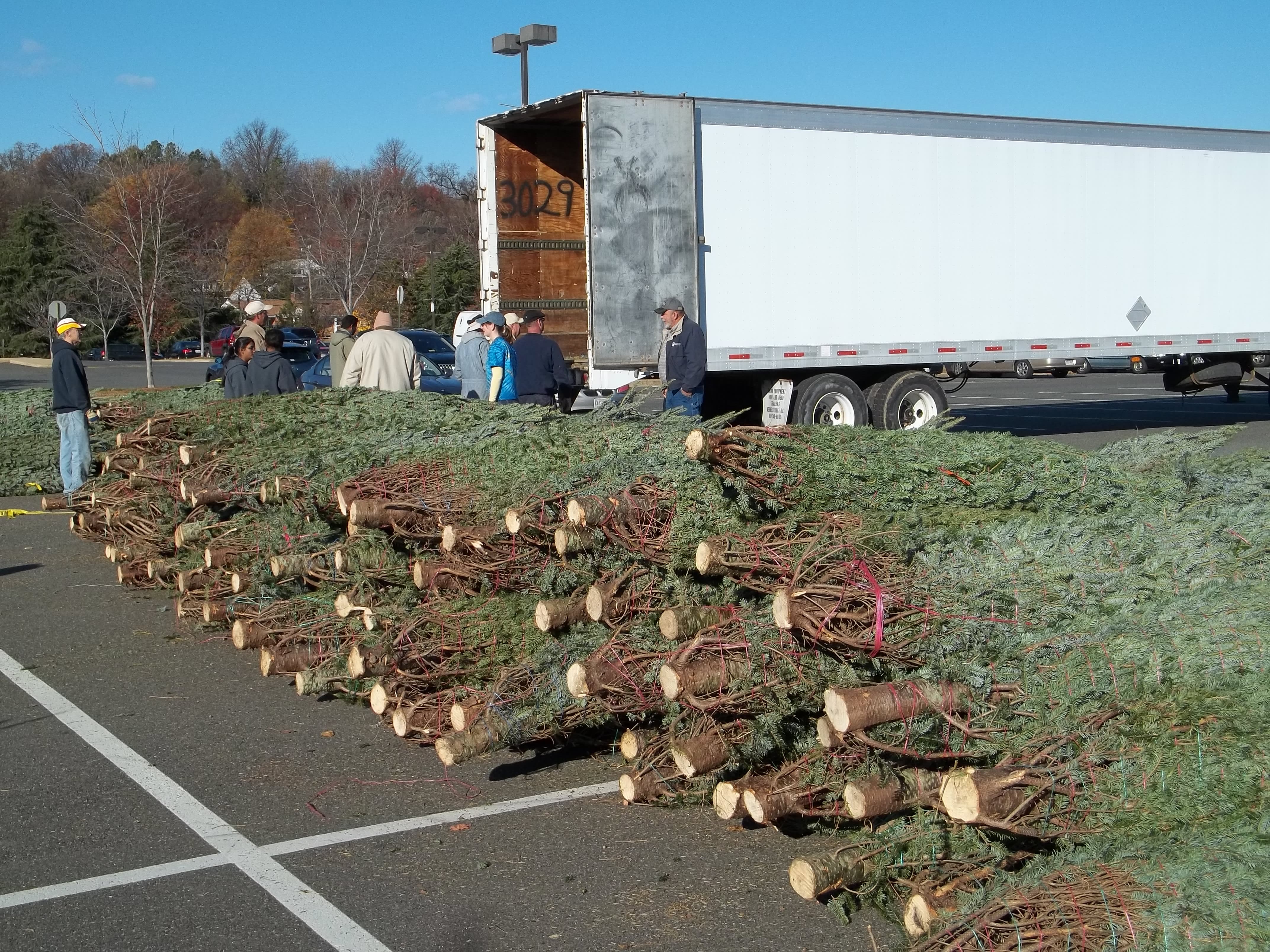 Kiwanis Christmas Trees for Sale! Mount Vernon, VA Patch