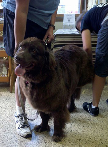 News small post card thumbnail