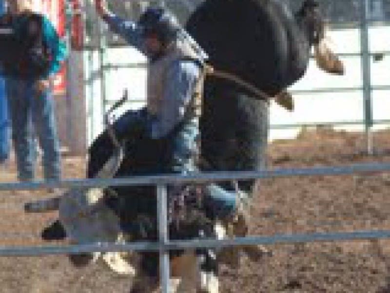 Mexico Bull Rider Mexican Bull Riders Come to Enumclaw Saturday | Enumclaw, WA Patch