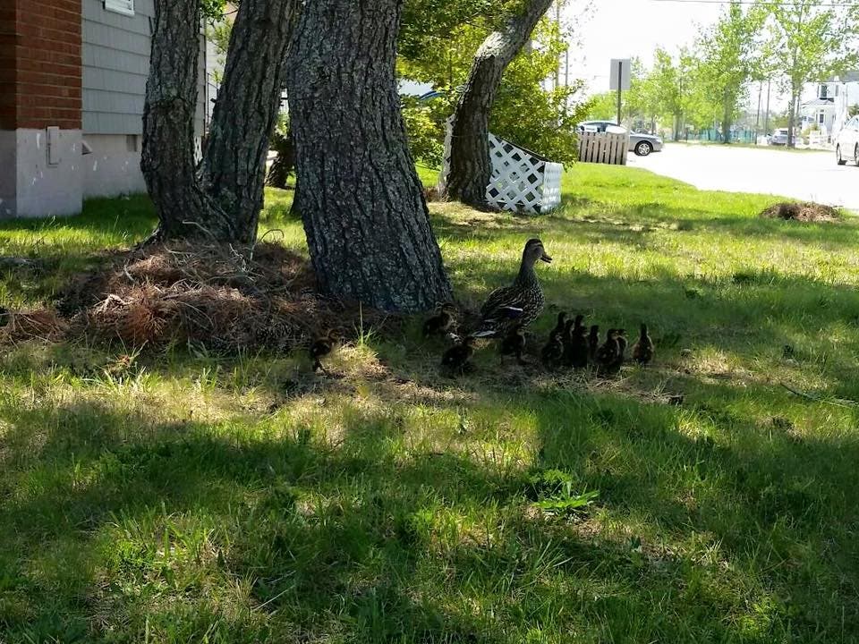 News small post card thumbnail