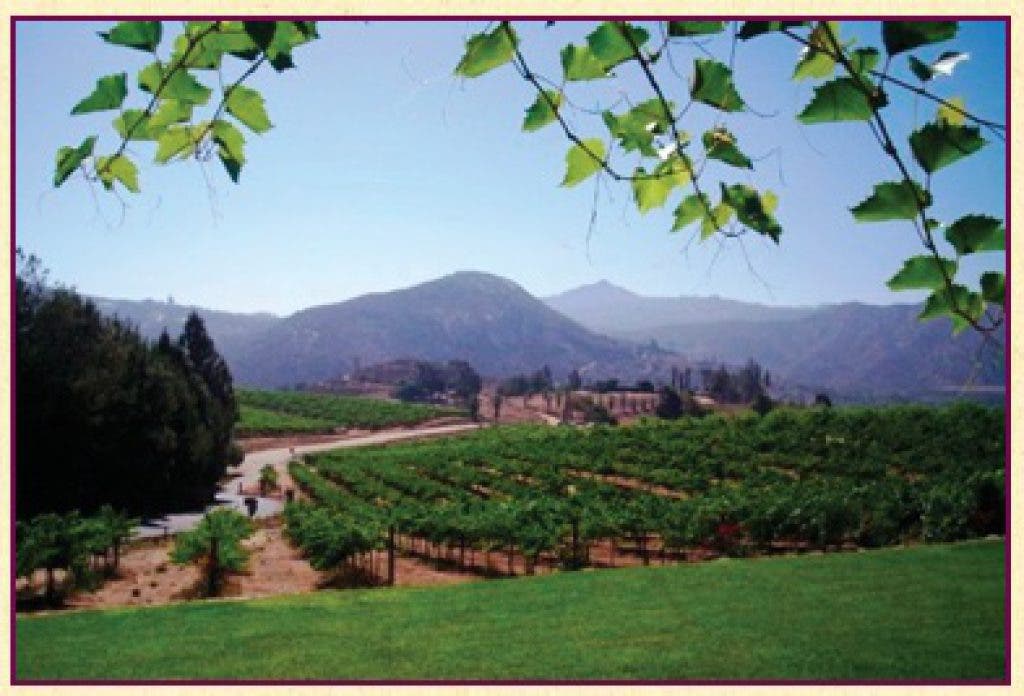 La Jolla Wine Tours